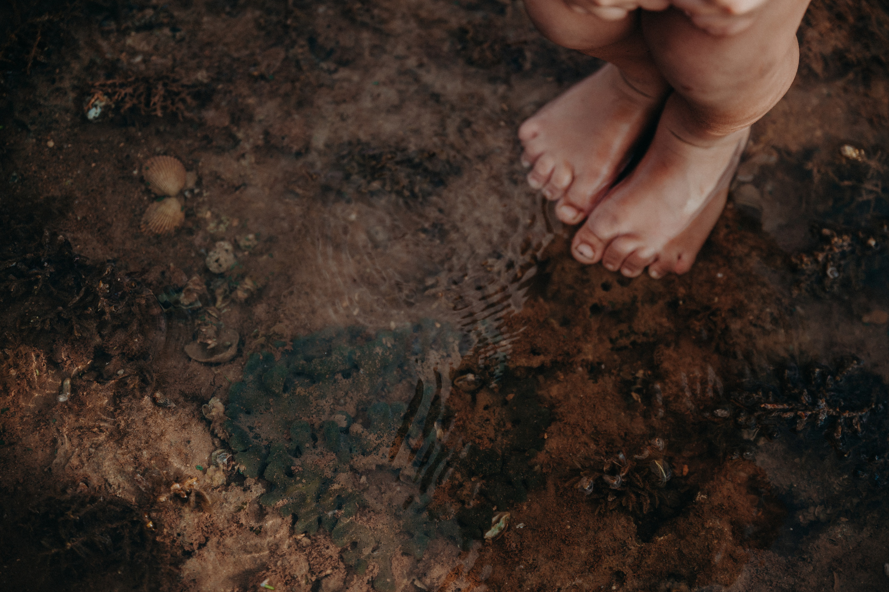 Child's Feet on Watery Shore